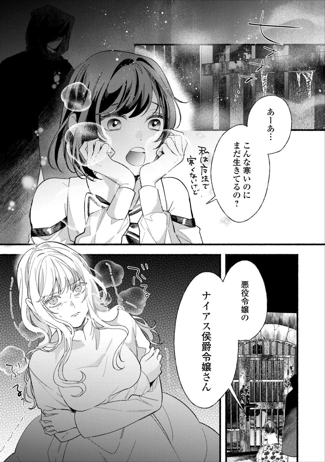 消滅した悪役令嬢 第15話 - 33