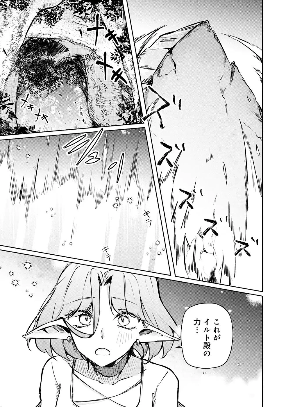 ギルドを追放されたけどもふもふ神獣に授かった神スキル【ランダム錬金】で最強のギルドを作って無双します 第4話 - 31