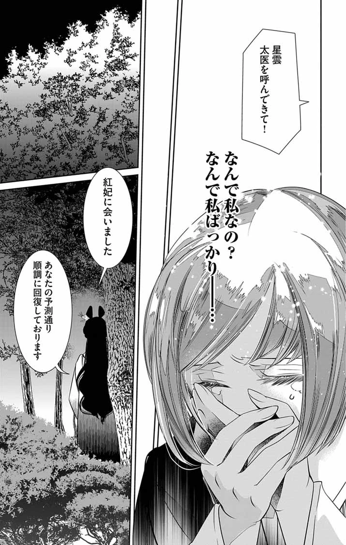 後宮の影公主～呪術師は謎を読む～ 第15話 - 15