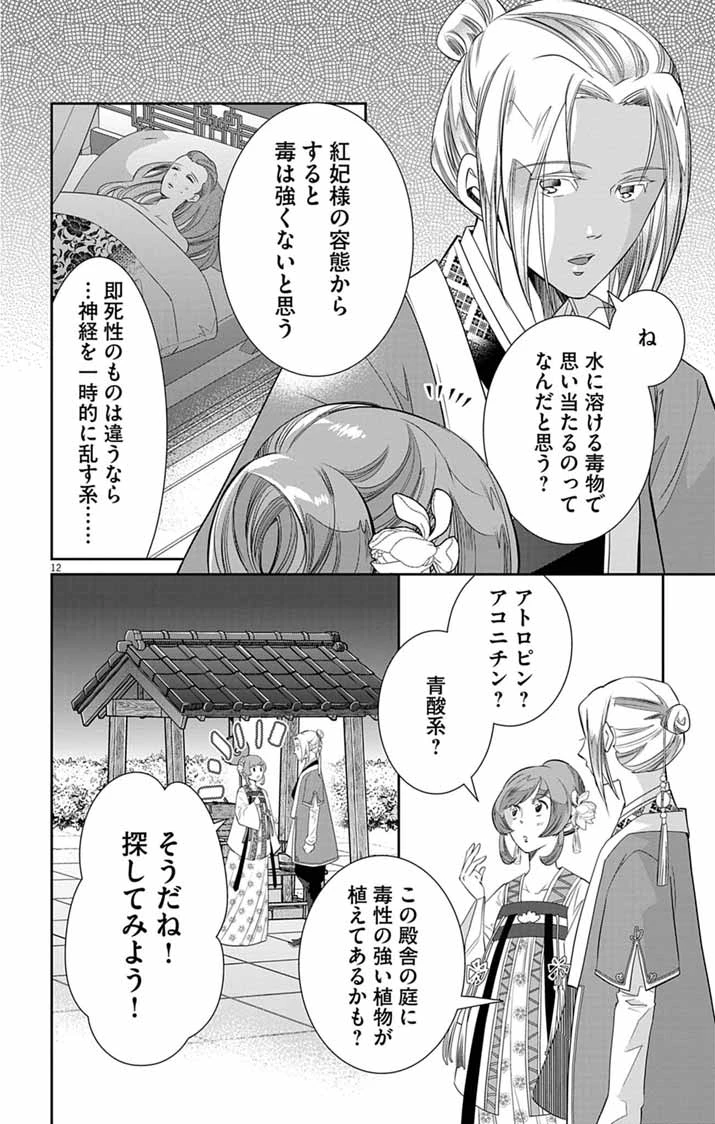後宮の影公主～呪術師は謎を読む～ 第14話 - 12