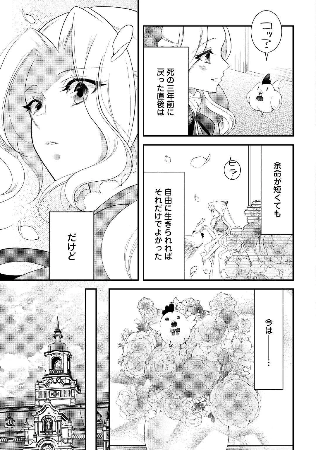 死んだ王妃は二度目の人生を楽しみます ーお飾りの王妃は必要ないのでしょう?ー 第17話 - 3
