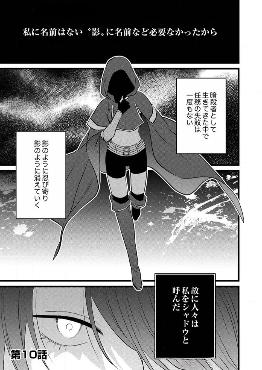 執事ですがなにか?～幼馴染のパワハラ皇女と絶縁したら、隣国の向日葵王女に拾われたのでこの身を捧げます～ 第10話 - 1