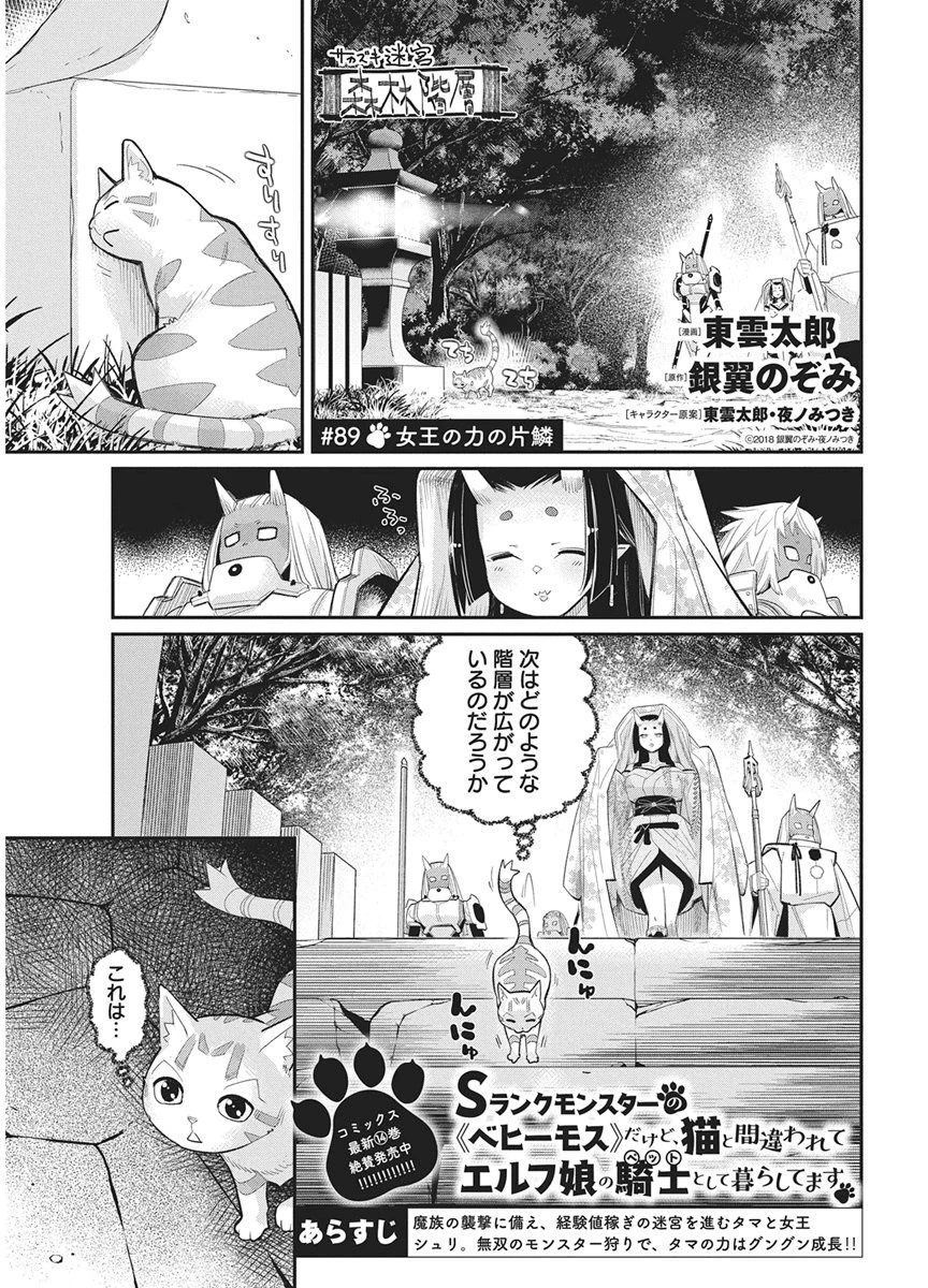 Sランクモンスターの《ベヒーモス》だけどネコと間違われてエルフ娘の騎士として暮らしています 第89話 - 1