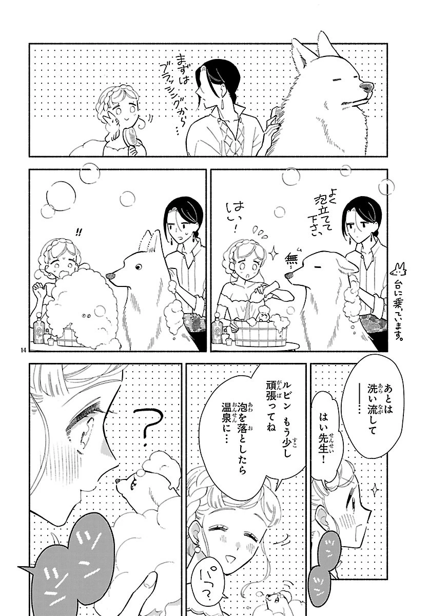 獣王子の偽恋花嫁 第9話 - 14