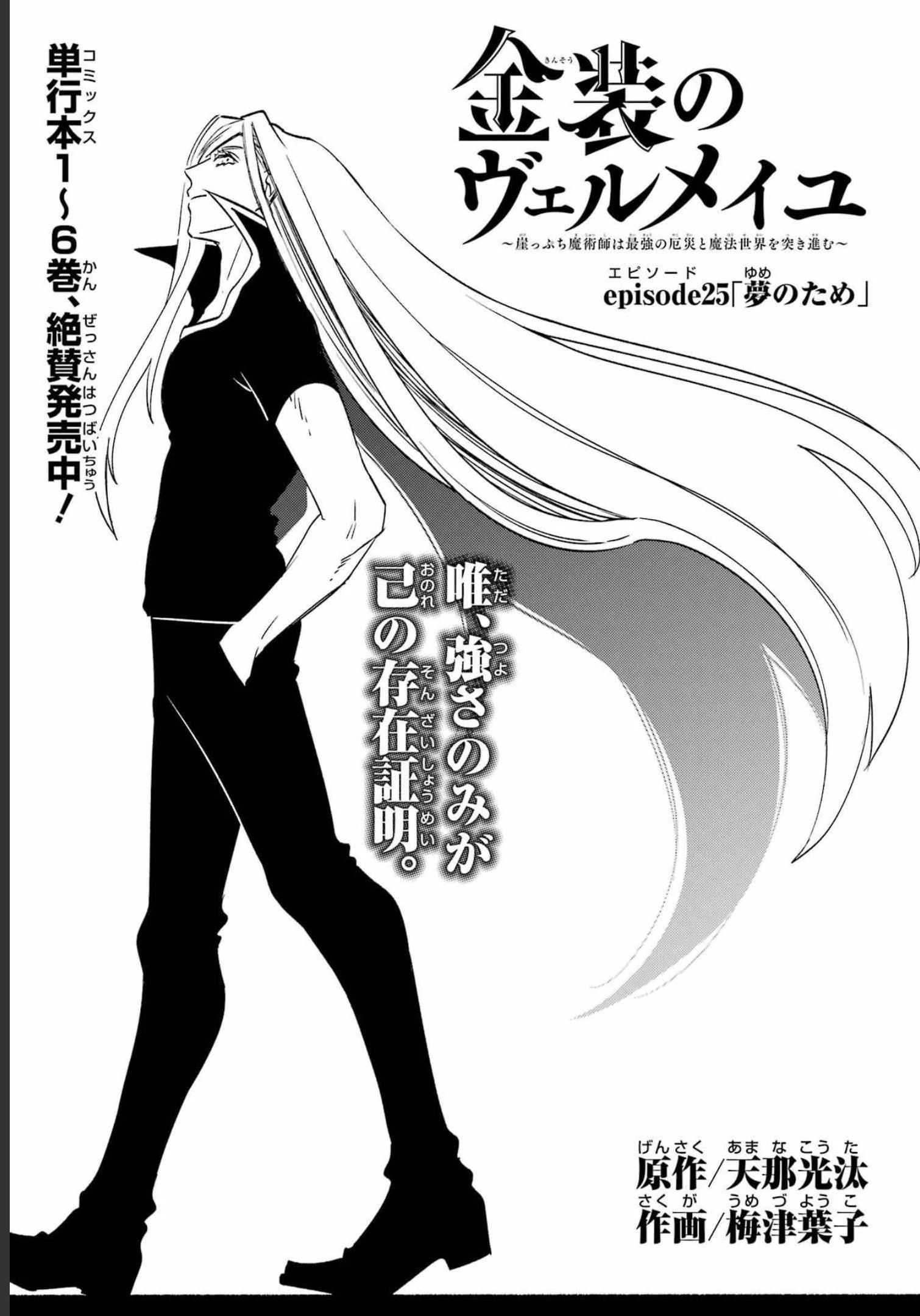 金装のヴェルメイユ ～崖っぷち魔術師は最強の厄災と魔法世界を突き進む 第25話 - 5
