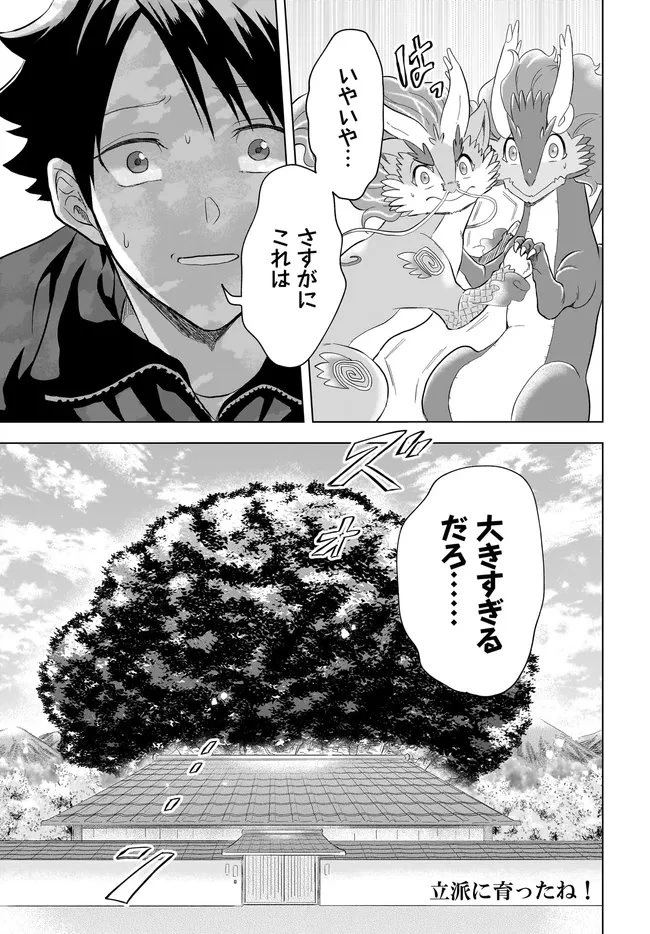 神の庭付き楠木邸 第41話 - 17