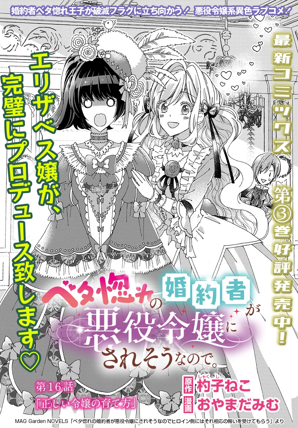 ベタ惚れの婚約者が悪役令嬢にされそうなので。 第16話 - 2