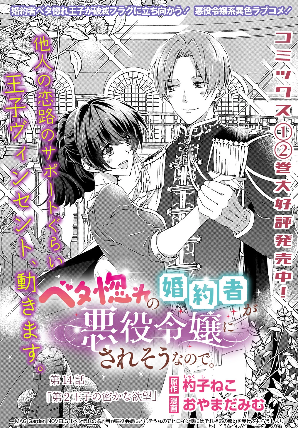 ベタ惚れの婚約者が悪役令嬢にされそうなので。 第14話 - 2