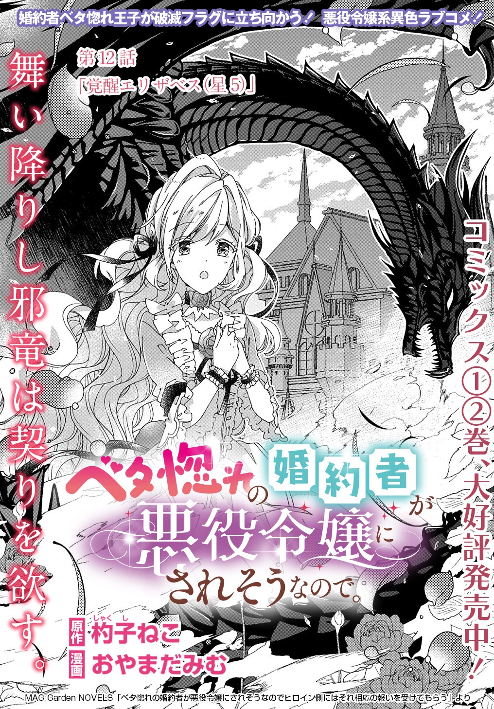 ベタ惚れの婚約者が悪役令嬢にされそうなので。 第12話 - 2