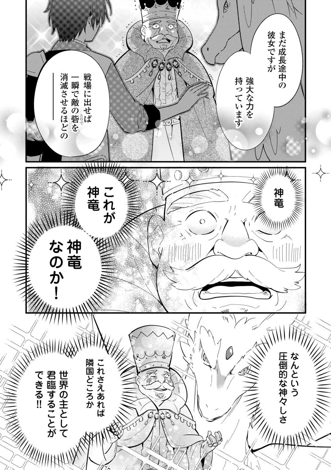トカゲ（本当は神竜）を召喚した聖獣使い、竜の背中で開拓ライフ 第26話 - 8