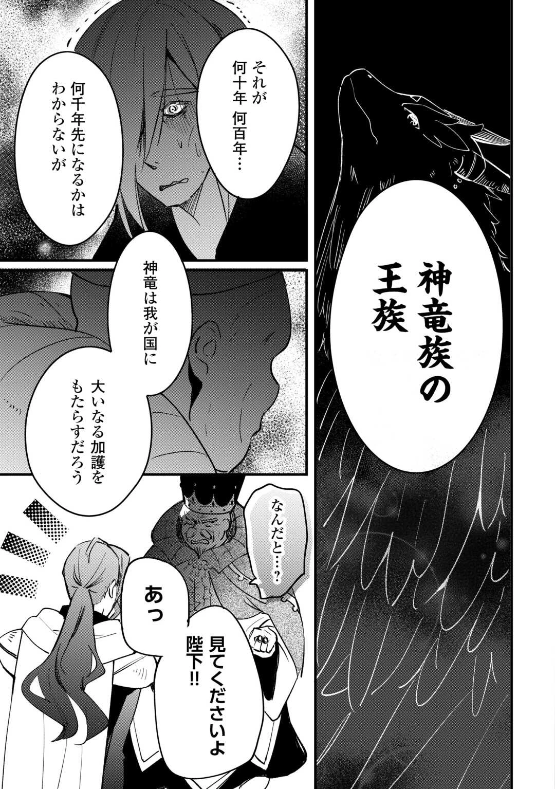 トカゲ（本当は神竜）を召喚した聖獣使い、竜の背中で開拓ライフ 第18話 - 3