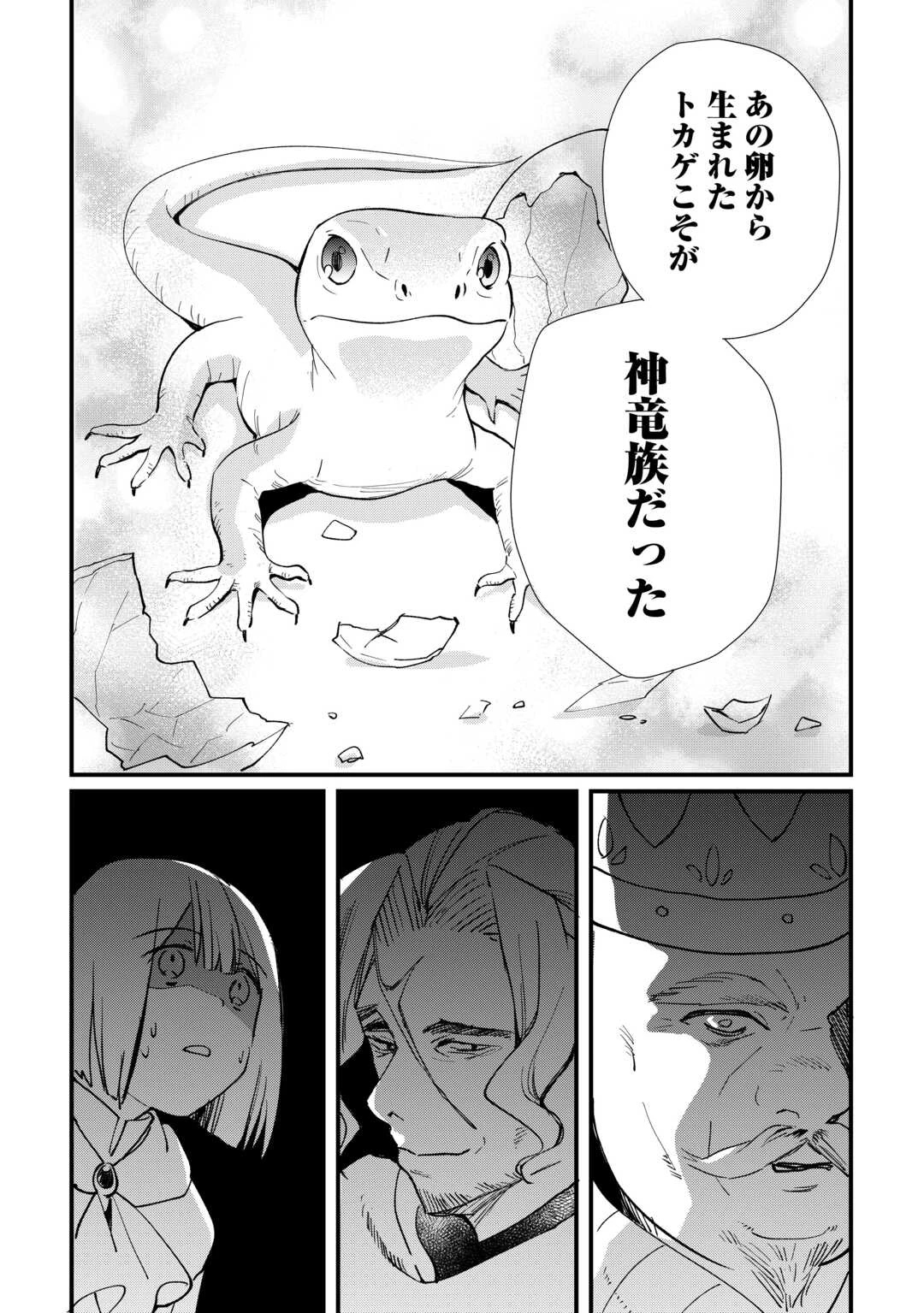 トカゲ（本当は神竜）を召喚した聖獣使い、竜の背中で開拓ライフ 第18話 - 6