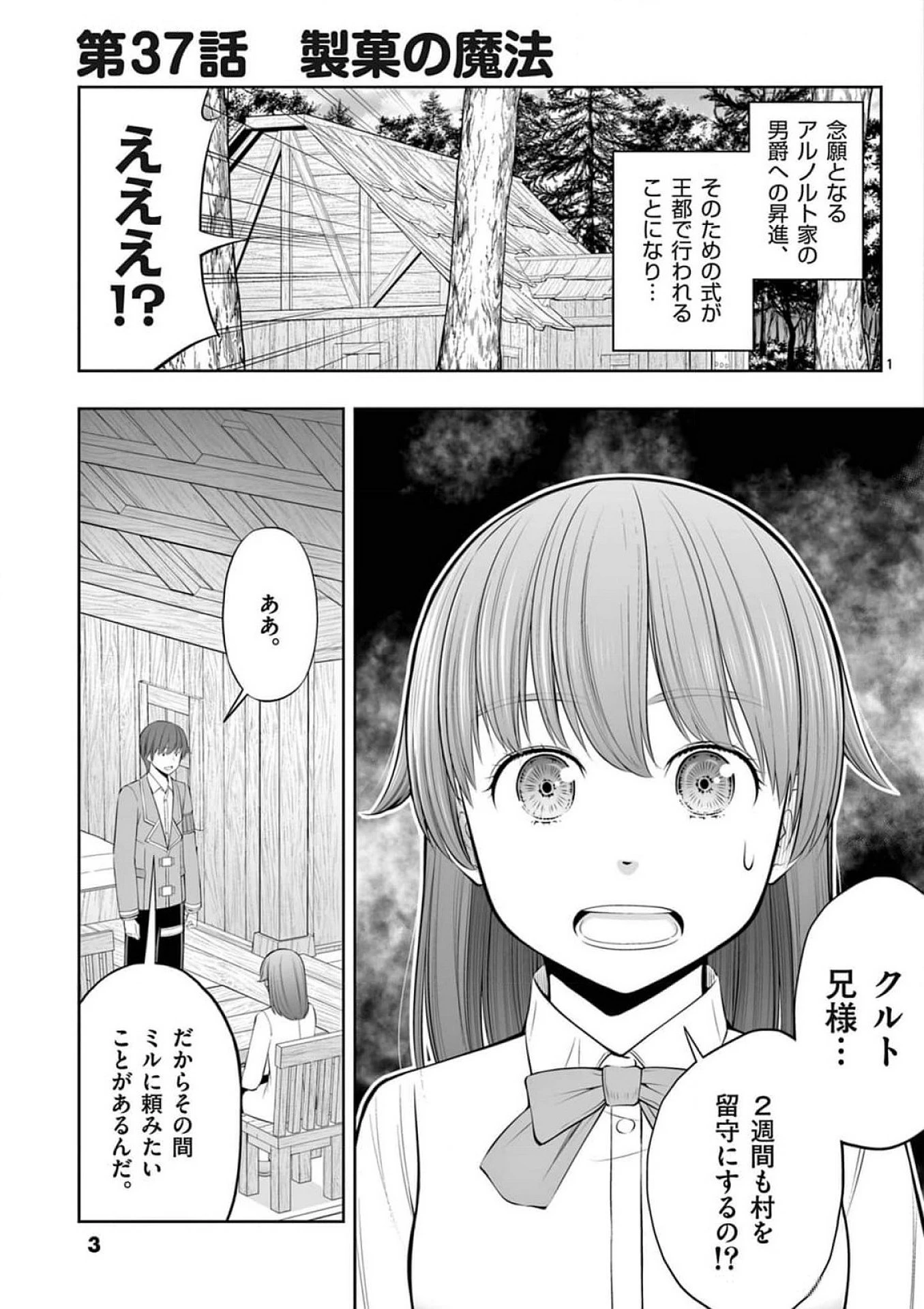 お菓子職人の成り上がり～天才パティシエの領地経営～ 第37話 - 1