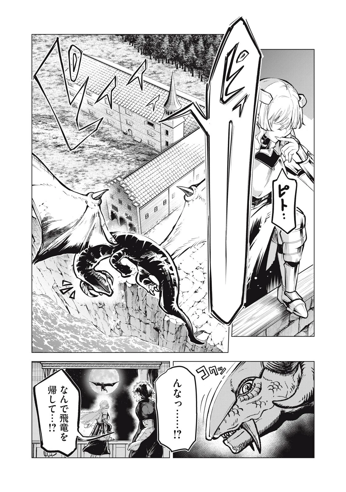 国を追われた竜師さん、拾われた隣国でうっかり無双してしまう。〜弱小国家が大陸最強の竜の楽園になるまで〜 第44話 - 11