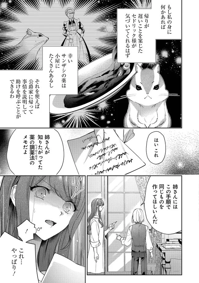 リスになってしまった婚約者が、毛嫌いしていたはずの私に助けを求めてきました。 第12話 - 9