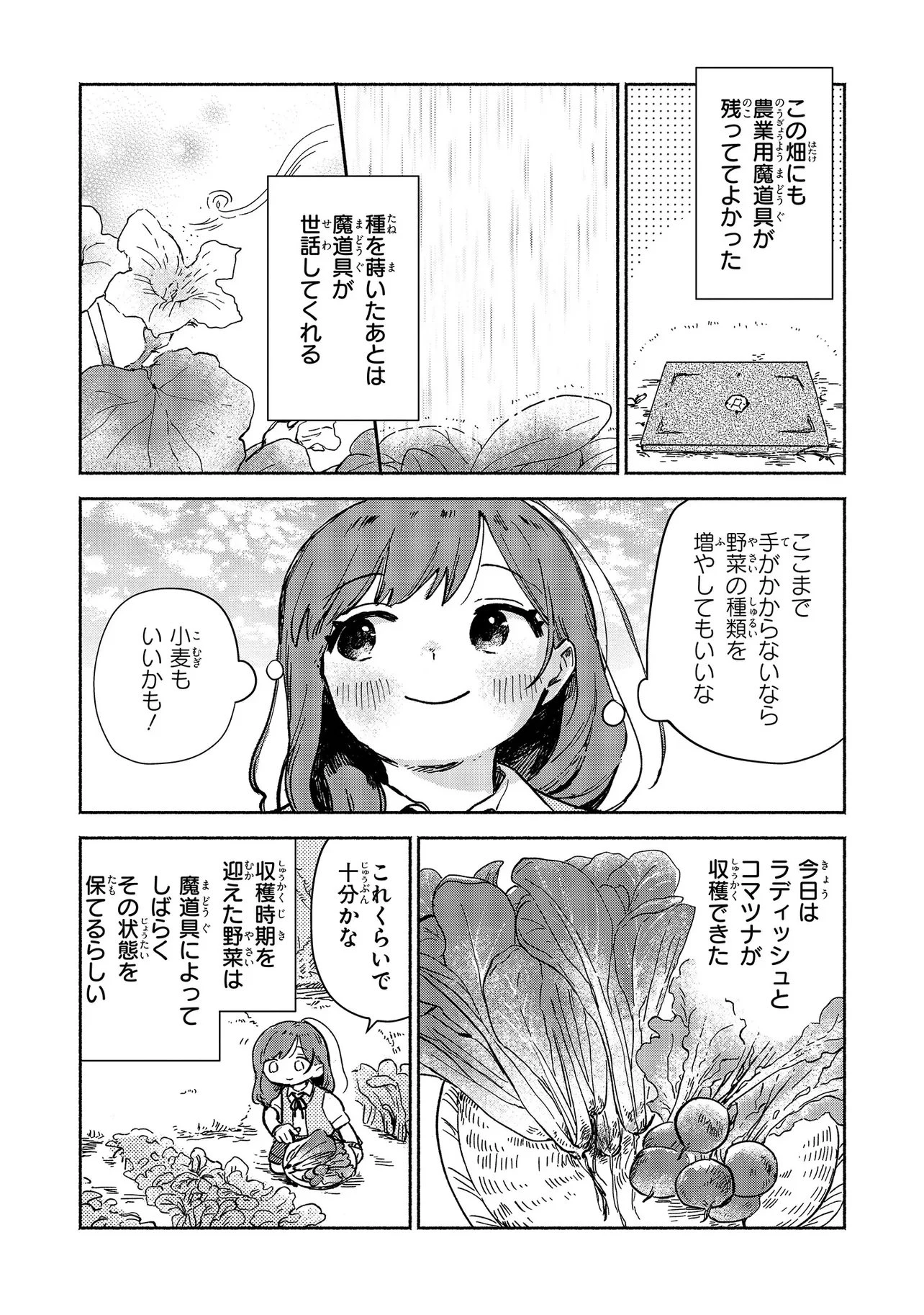 忘れられ令嬢は気ままに暮らしたい 第4話 - 3