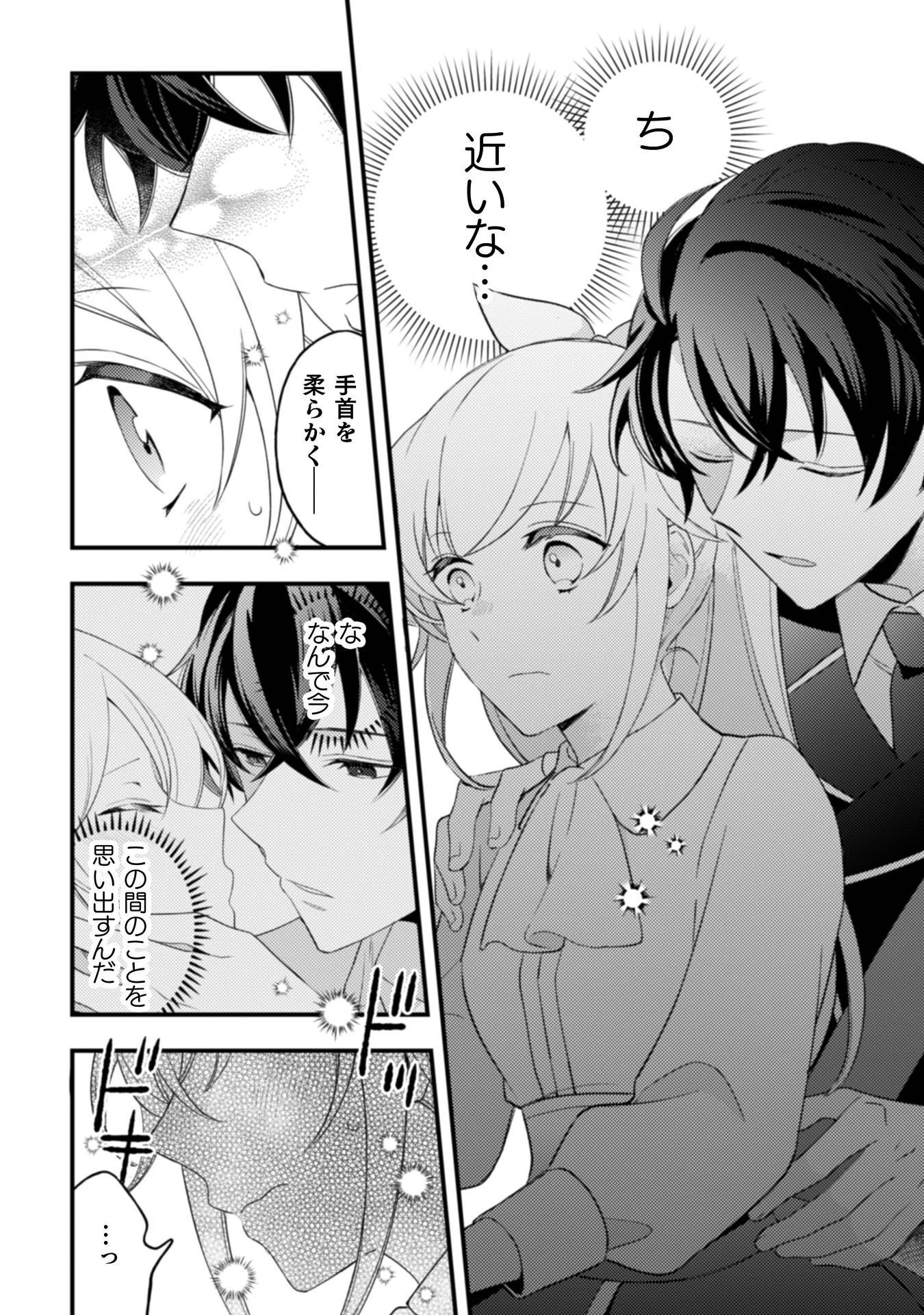 「来世で結婚してくれますか」と誓った部下が、現世では年上の騎士団長様になっていて、本当に結婚を迫られている件 第11話 - 5