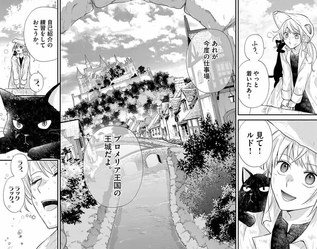 魔女と黒猫 家庭教師をしたら高慢な姫様に懐かれました 第1話 - 14