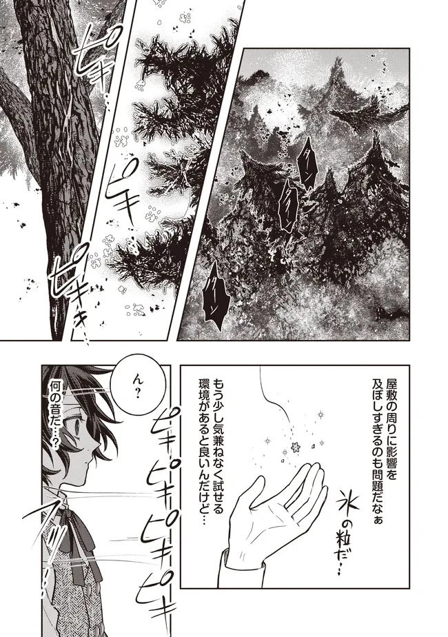 貴族の三男、でくの坊から最強魔術士へ。パラメーターを調節して、すべての魔術を魔改造! ～気ままに遊んでいるだけなのに、何故か評価が上がっていく件について～ 第5話 - 11