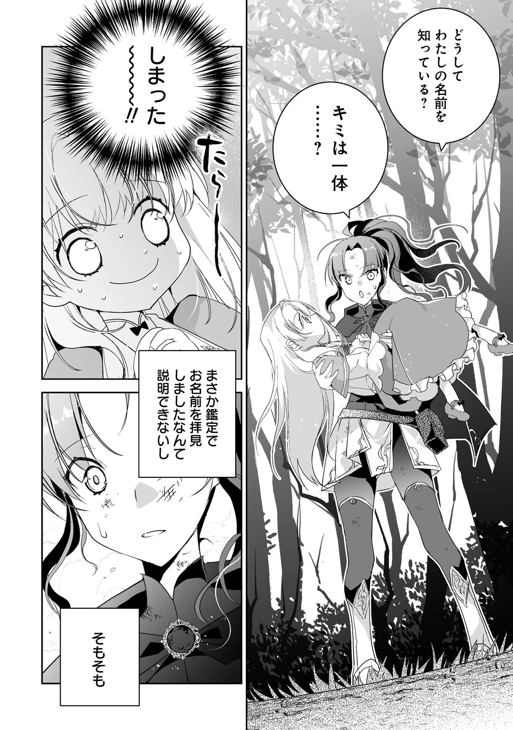 転生幼女は愛猫とのんびり旅をする 第5話 - 2