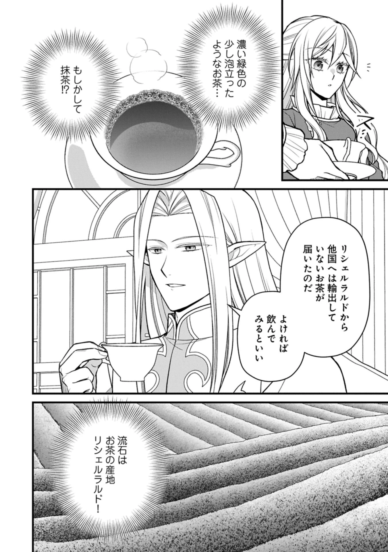婚約解消のち、お引越し。セイラン・リゼルの気ままで優雅な生活。～才色兼備の転生令嬢は前世チートで自由を満喫します～ 第11話 - 2