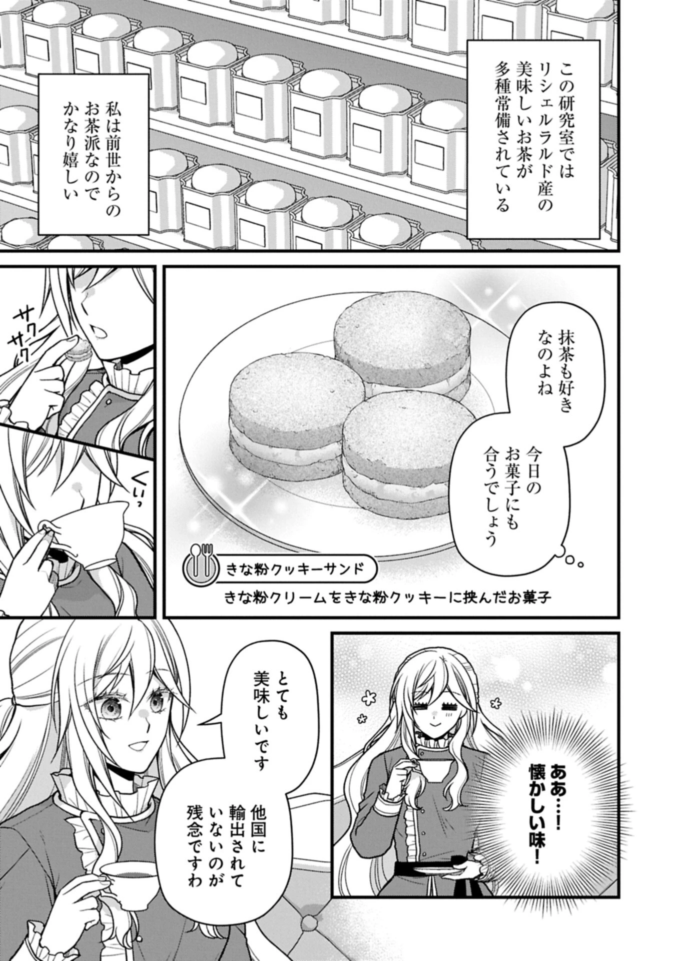 婚約解消のち、お引越し。セイラン・リゼルの気ままで優雅な生活。～才色兼備の転生令嬢は前世チートで自由を満喫します～ 第11話 - 3