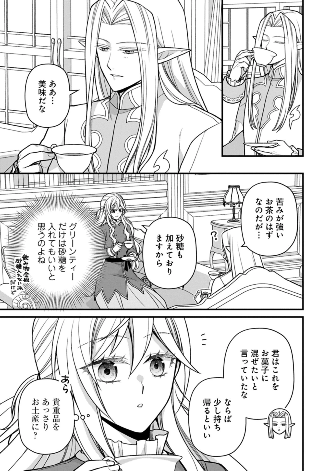 婚約解消のち、お引越し。セイラン・リゼルの気ままで優雅な生活。～才色兼備の転生令嬢は前世チートで自由を満喫します～ 第11話 - 5