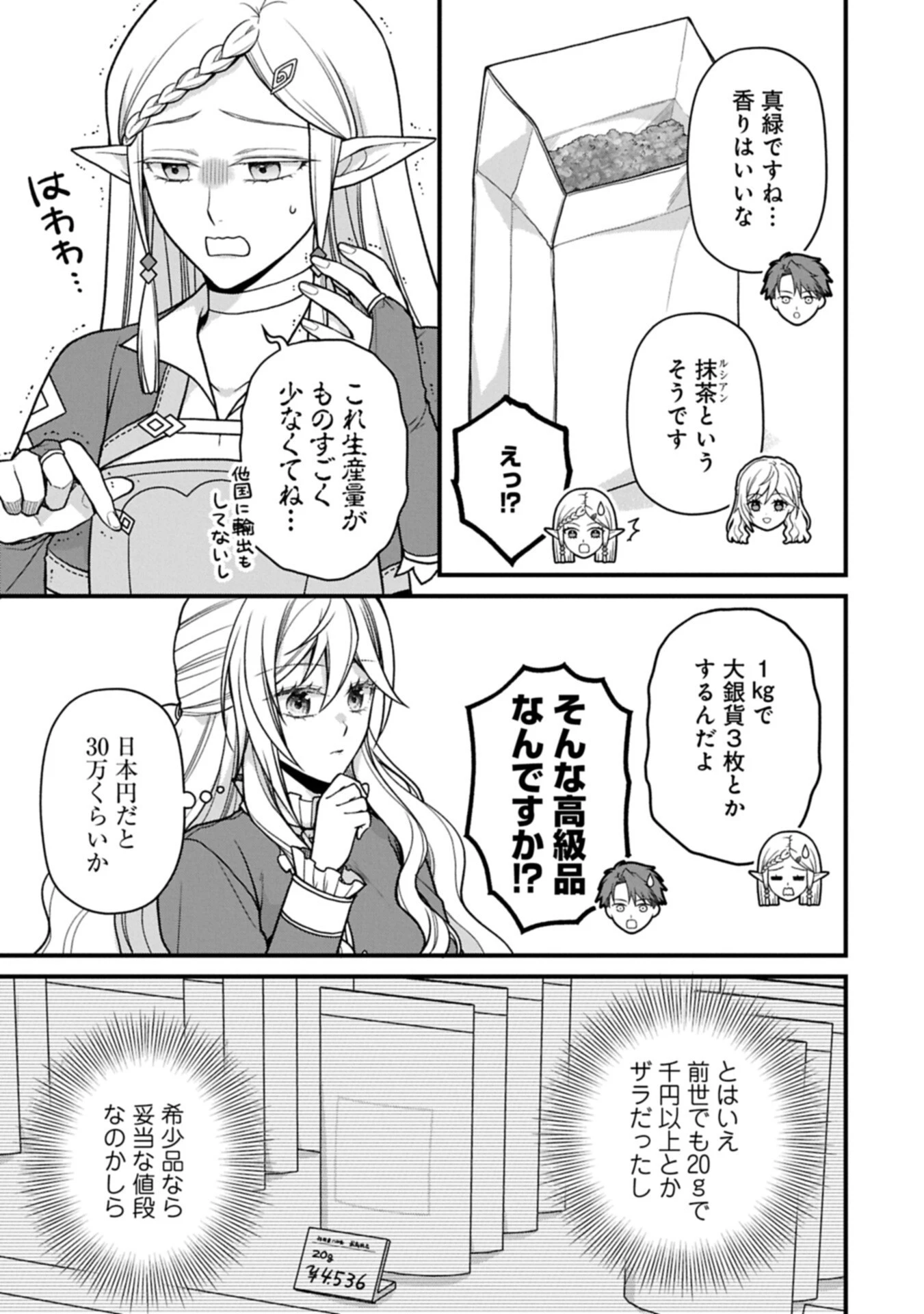婚約解消のち、お引越し。セイラン・リゼルの気ままで優雅な生活。～才色兼備の転生令嬢は前世チートで自由を満喫します～ 第11話 - 7