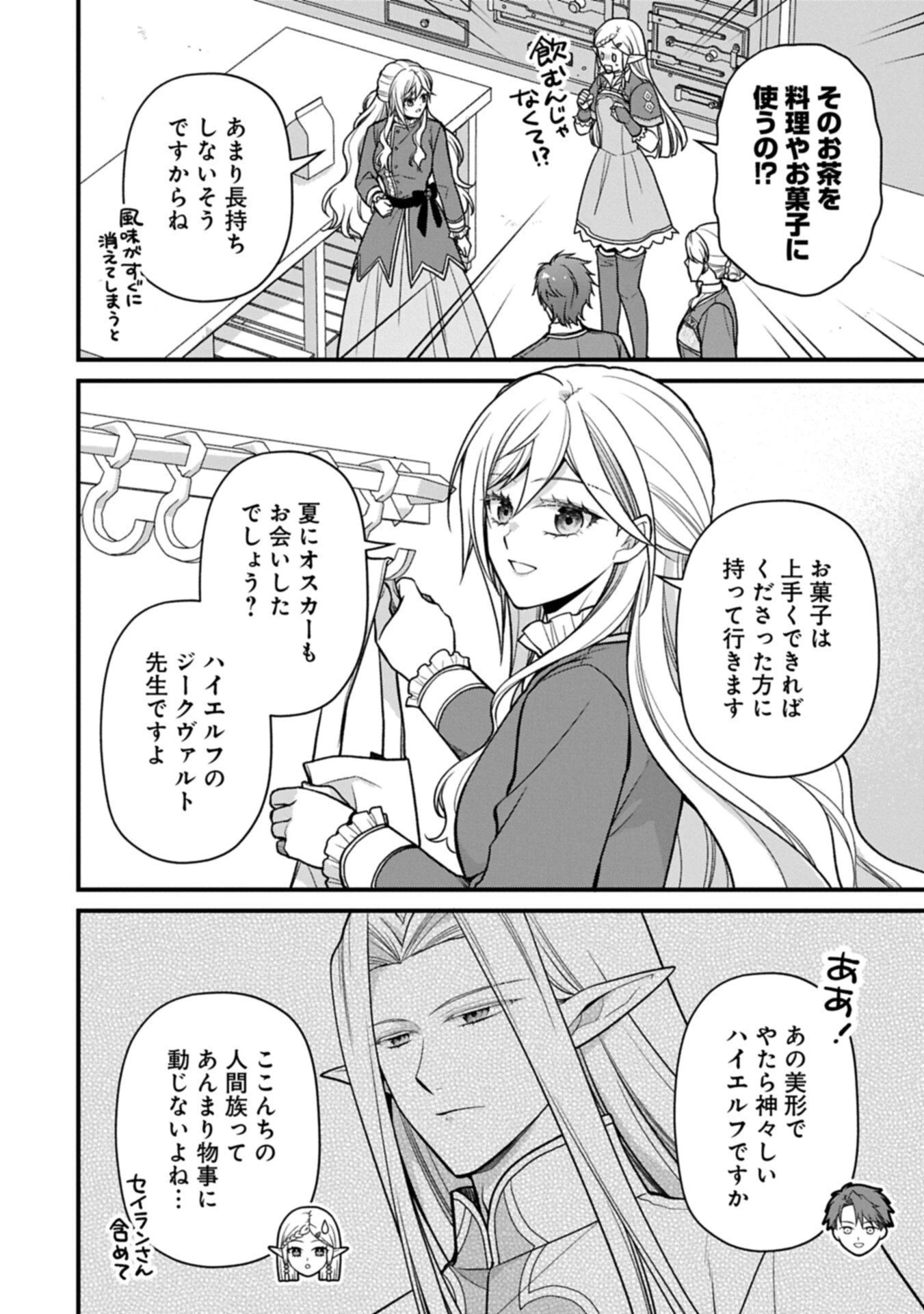 婚約解消のち、お引越し。セイラン・リゼルの気ままで優雅な生活。～才色兼備の転生令嬢は前世チートで自由を満喫します～ 第11話 - 8