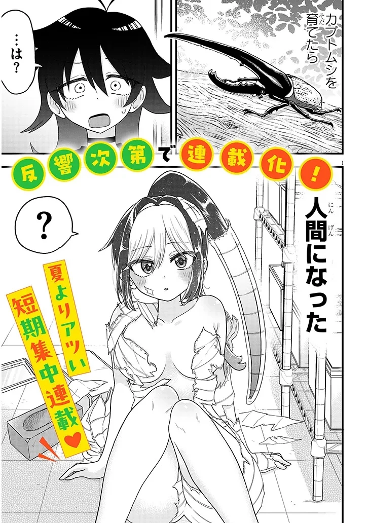 クレアちゃん飼育日記―カブトムシ少女にお世話されてます― 第1話 - 1