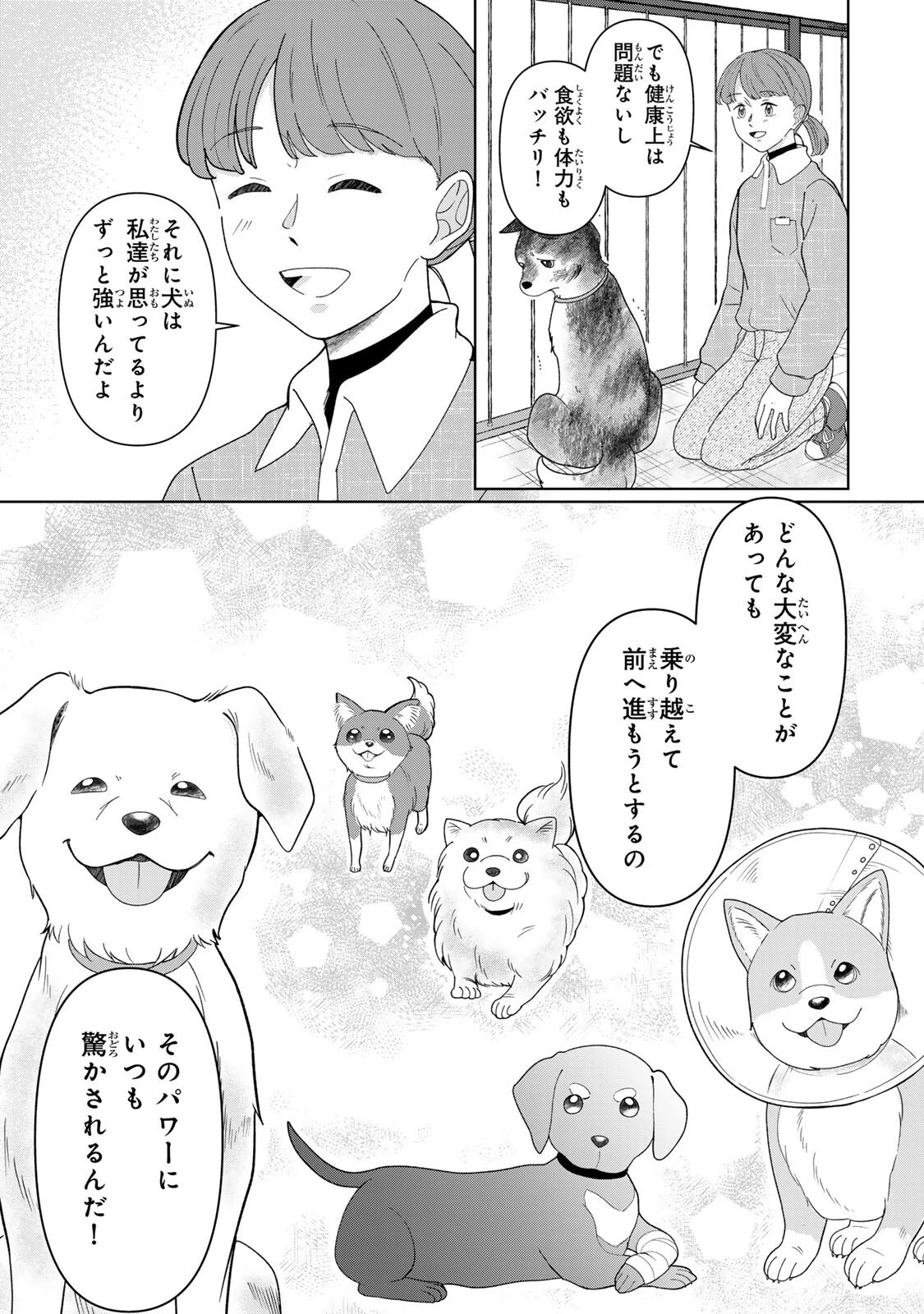 夜明けをつれてくる犬 第6話 - 15