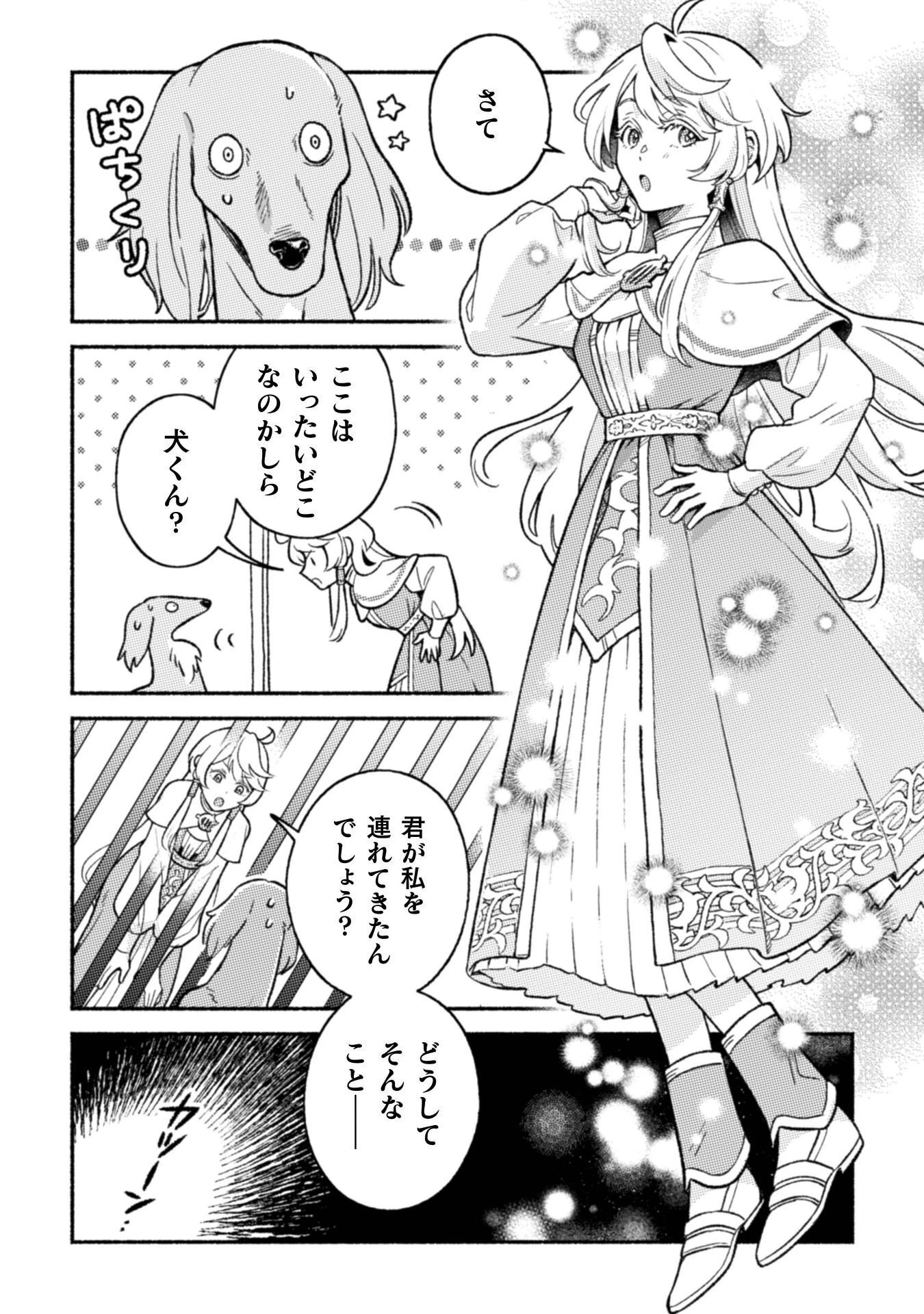根暗騎士による溺愛満喫中のブサ猫、実は聖女です! 第12話 - 9
