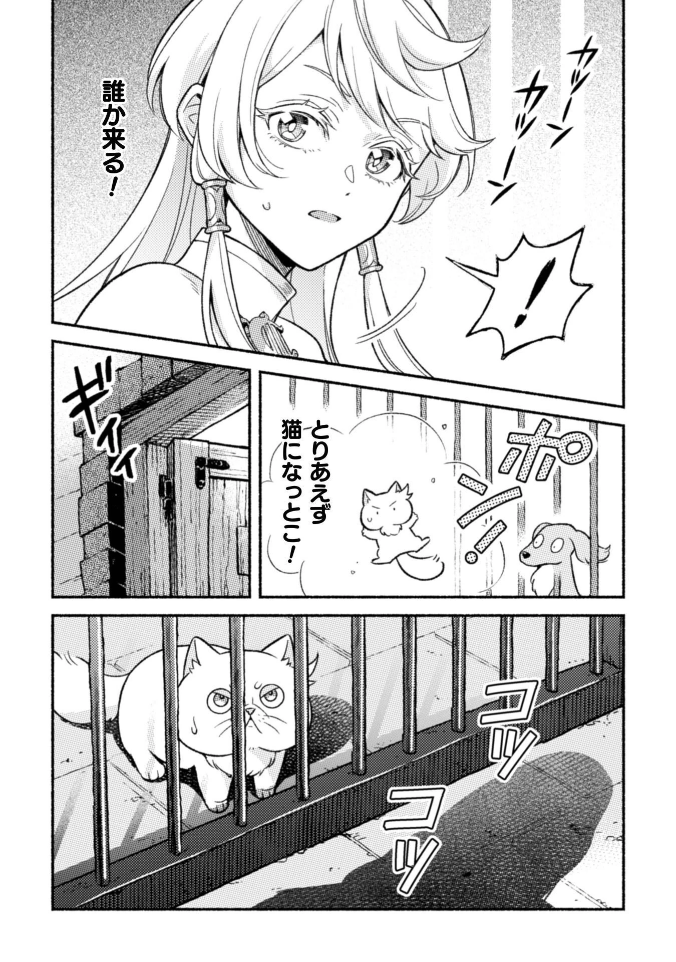 根暗騎士による溺愛満喫中のブサ猫、実は聖女です! 第12話 - 10