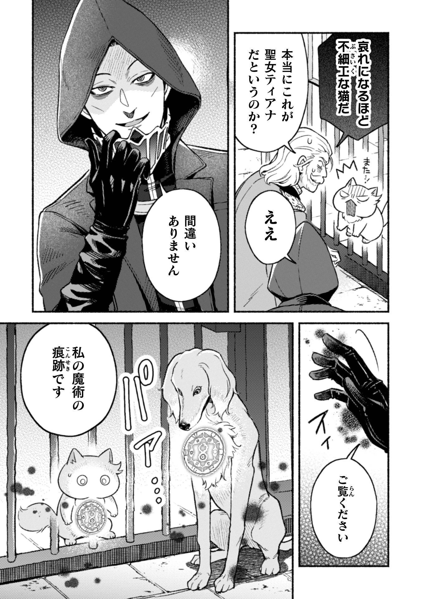 根暗騎士による溺愛満喫中のブサ猫、実は聖女です! 第12話 - 12