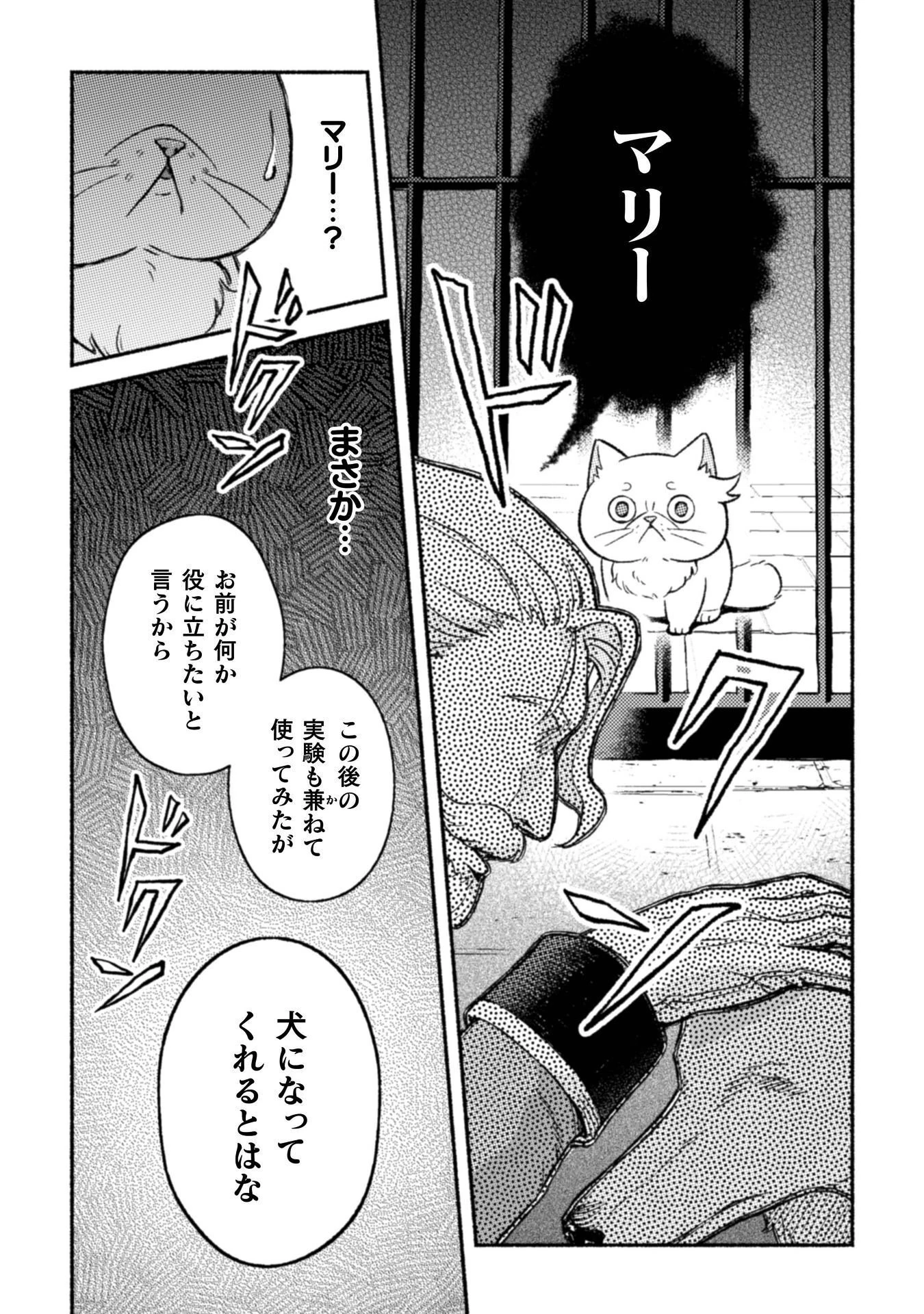 根暗騎士による溺愛満喫中のブサ猫、実は聖女です! 第12話 - 14