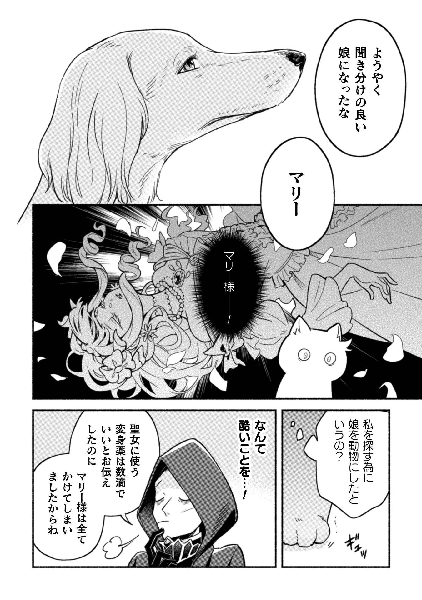 根暗騎士による溺愛満喫中のブサ猫、実は聖女です! 第12話 - 15
