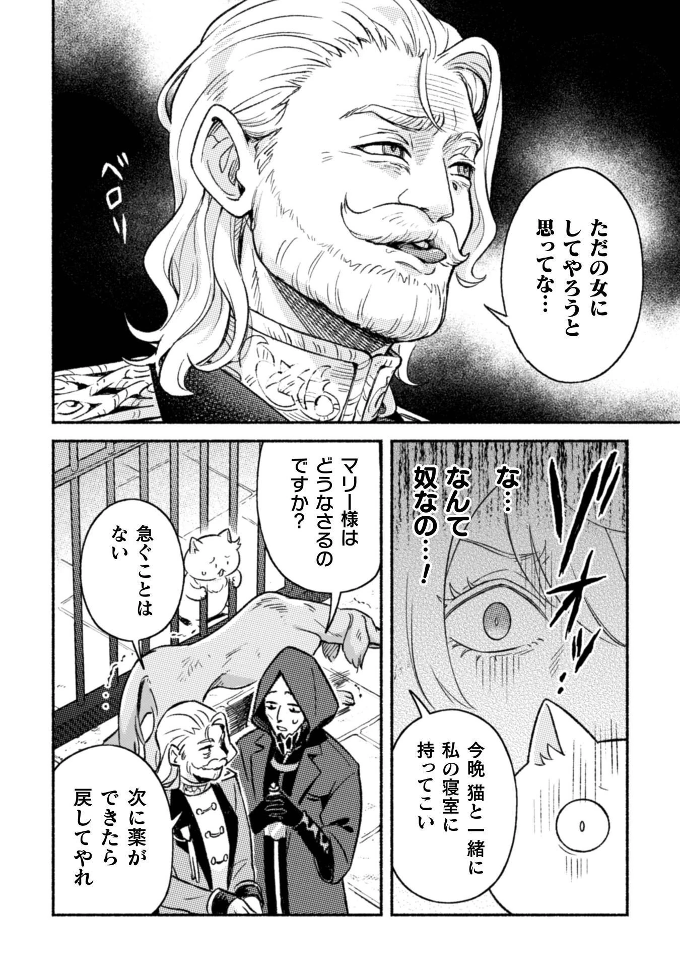 根暗騎士による溺愛満喫中のブサ猫、実は聖女です! 第12話 - 19