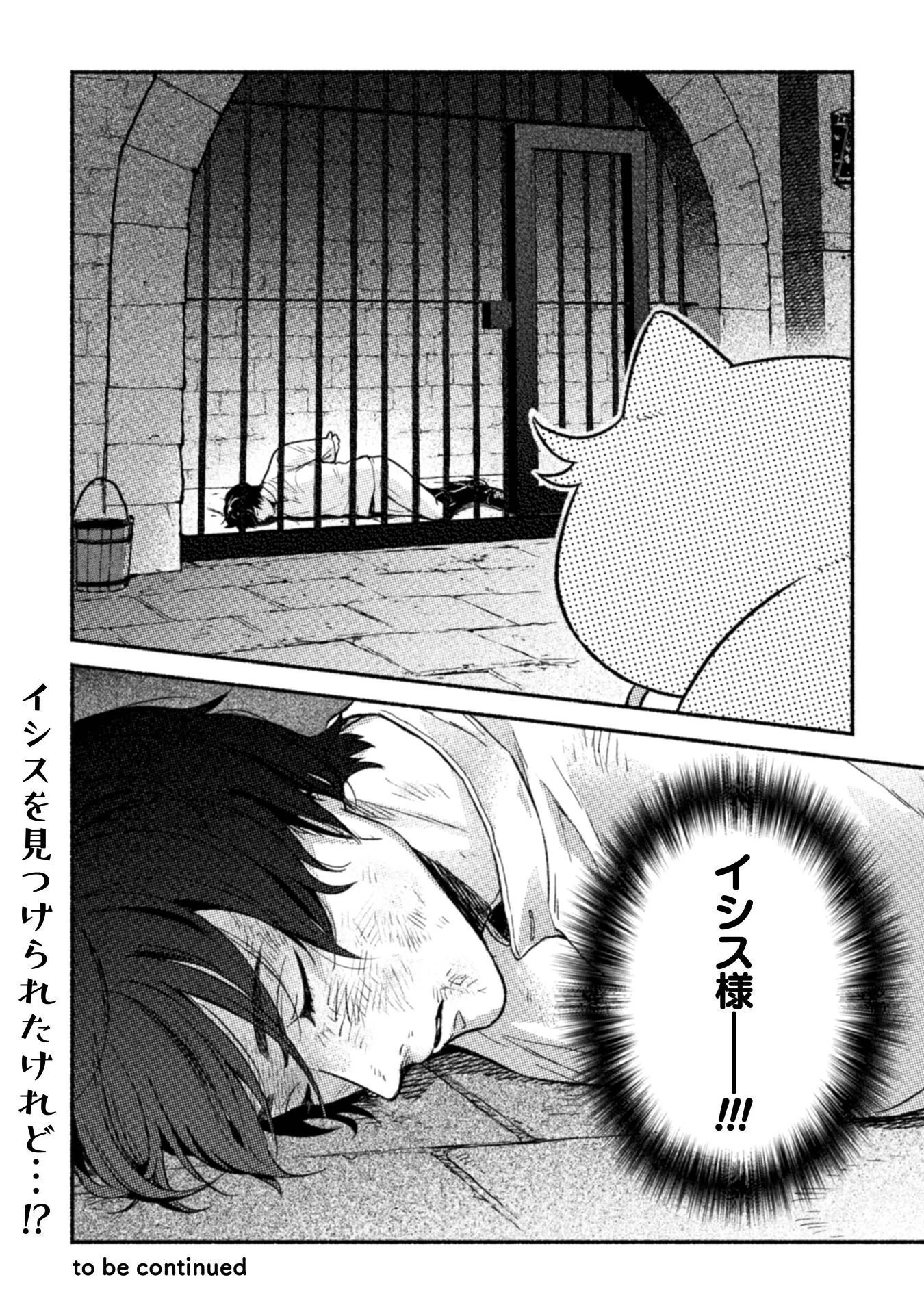 根暗騎士による溺愛満喫中のブサ猫、実は聖女です! 第12話 - 33