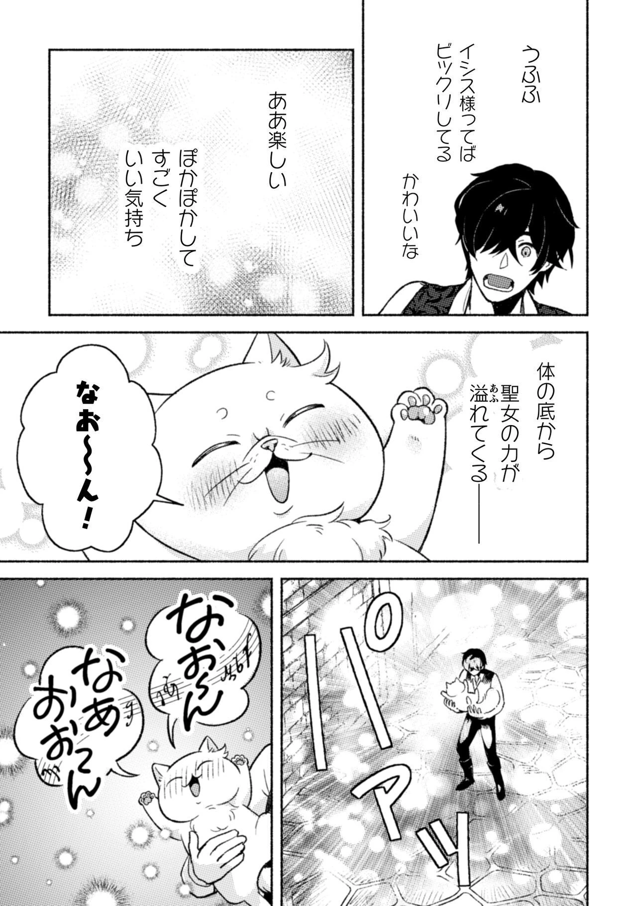 根暗騎士による溺愛満喫中のブサ猫、実は聖女です! 第8話 - 26
