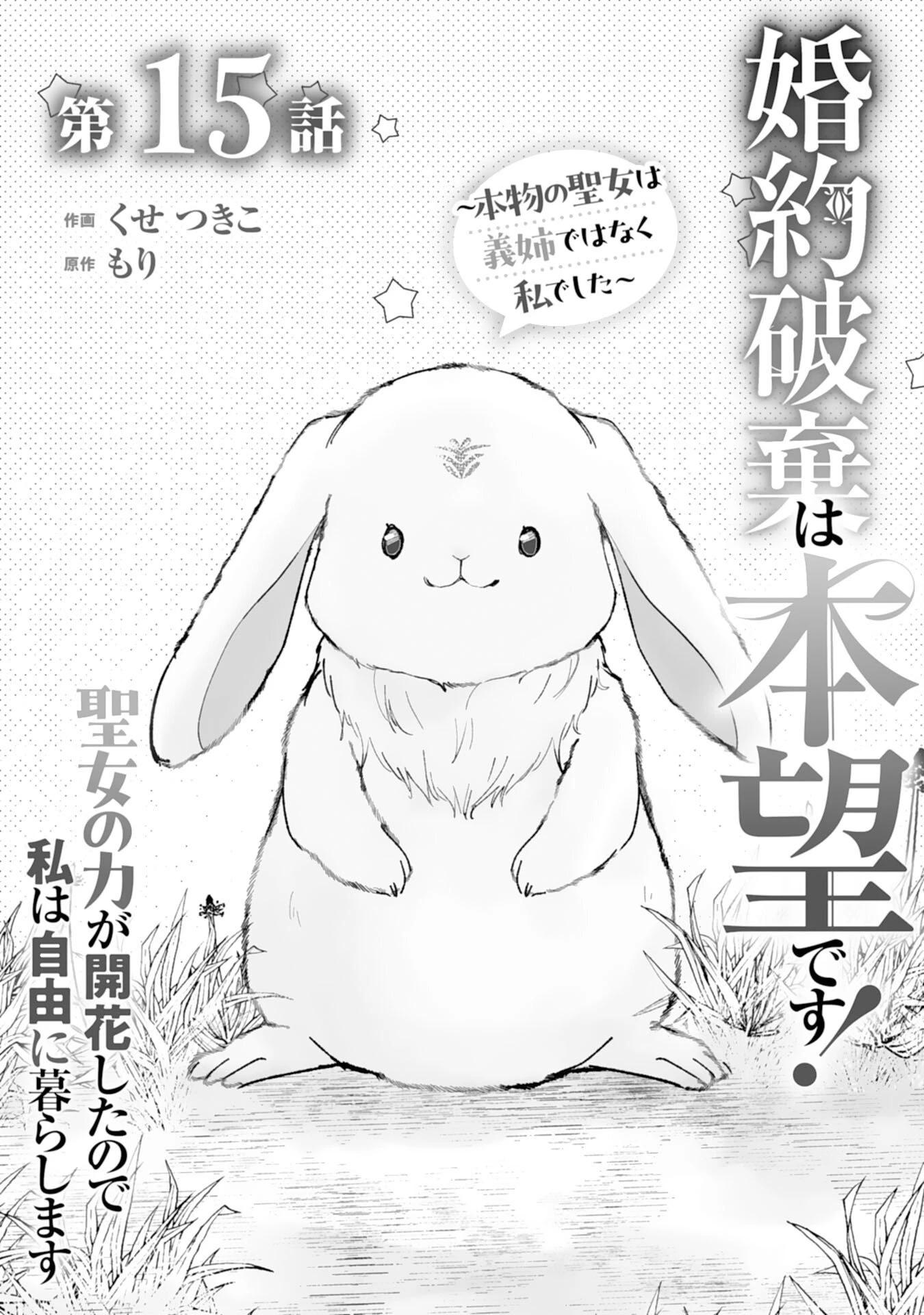 婚約破棄は本望です！聖女の力が開花したので私は自由に暮らします 第15話 - 1