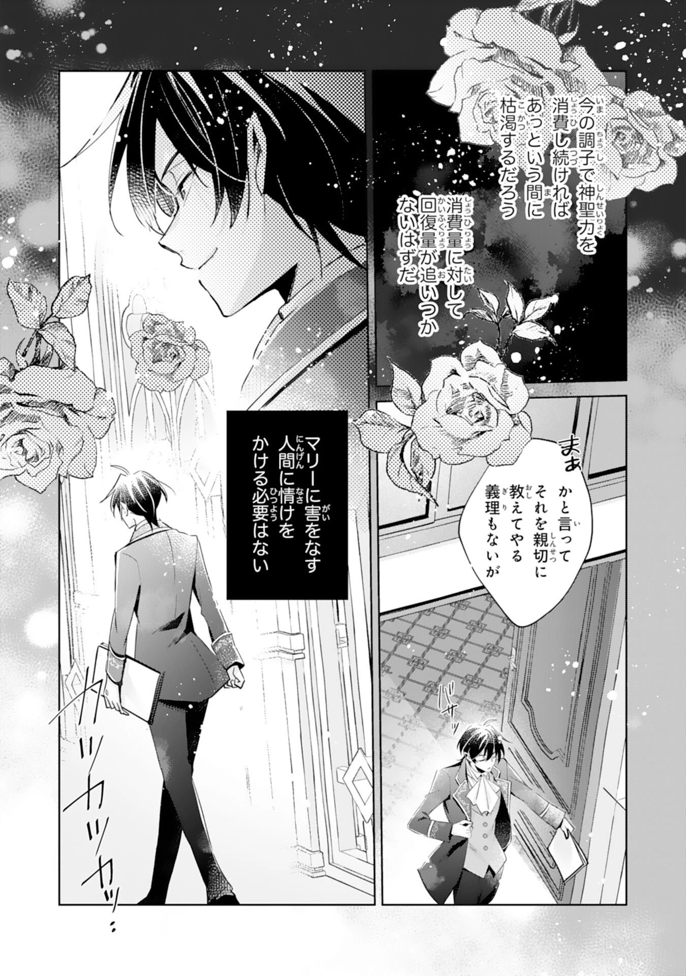 どうも、噂の悪女でございます　聖女の力は差し上げるので、私はお暇頂戴します 第5話 - 26