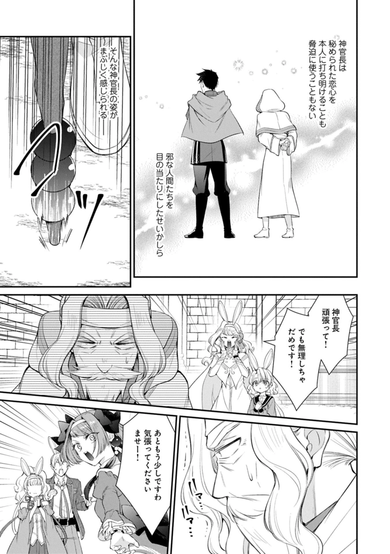 追放された聖女ですが、実は国中から愛されすぎてて怖いんですけど！？～聖女イヴリンと愉快な（？）仲間たち～ 第23話 - 13