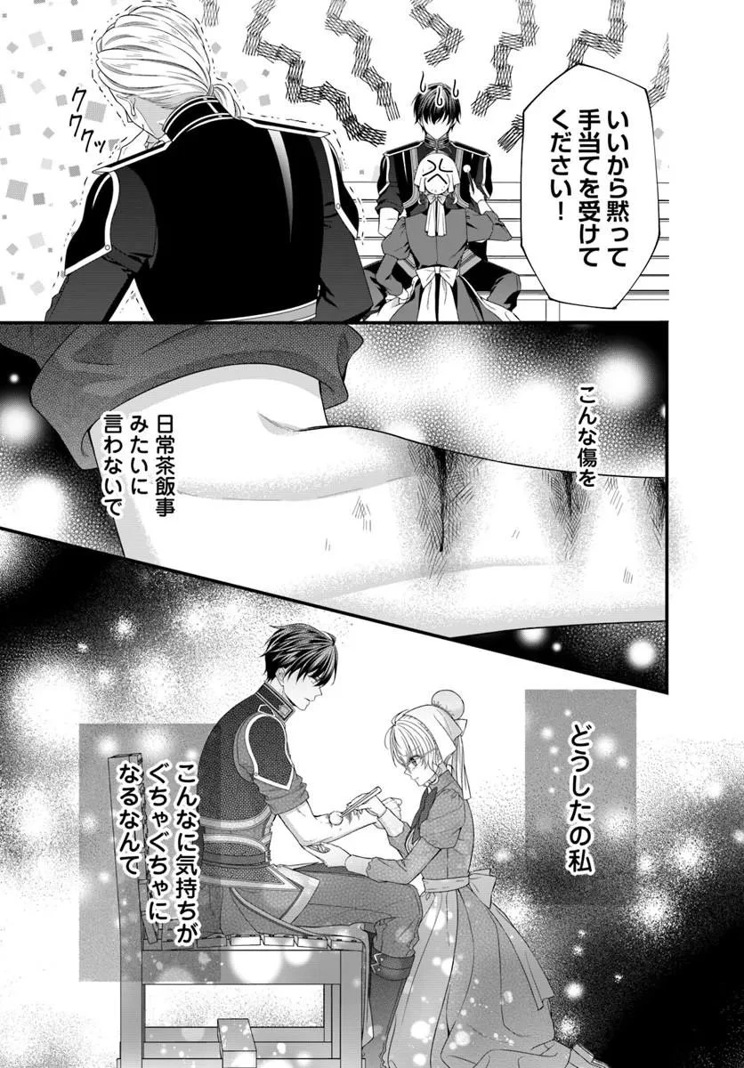 王女でしたがこっそり竜騎士団の専属薬師になりました! 第9話 - 3