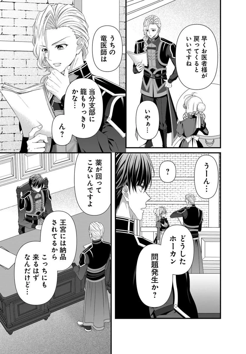 王女でしたがこっそり竜騎士団の専属薬師になりました! 第9話 - 11
