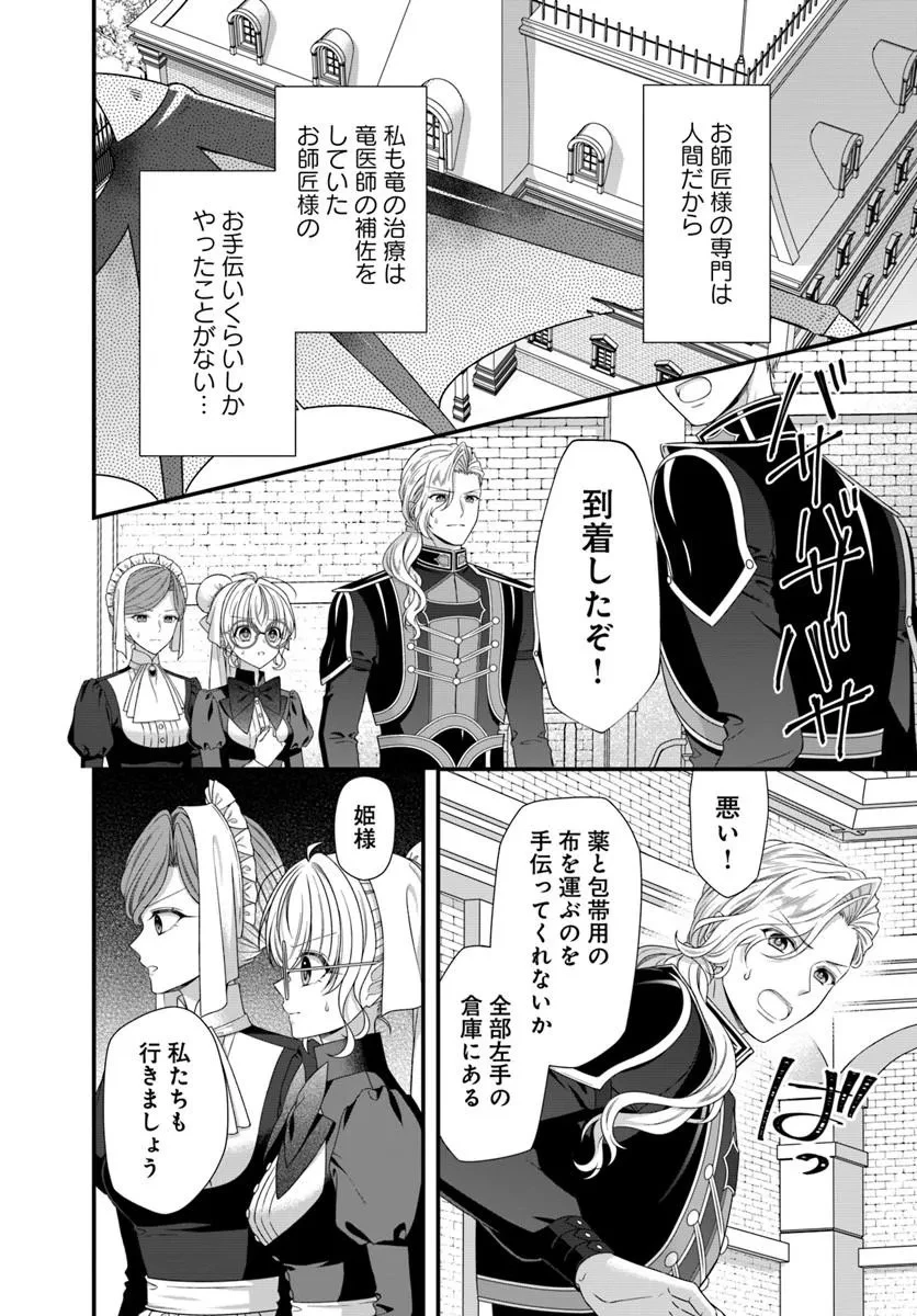 王女でしたがこっそり竜騎士団の専属薬師になりました! 第8話 - 2
