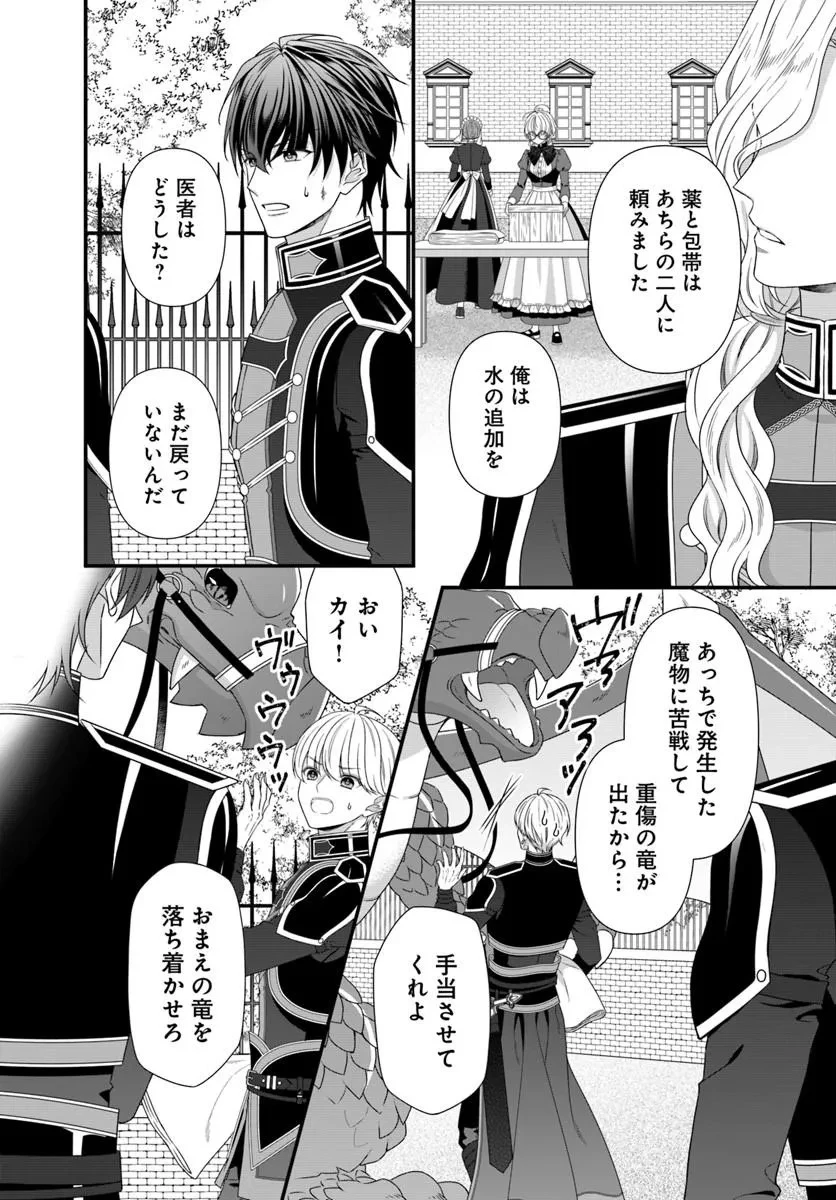 王女でしたがこっそり竜騎士団の専属薬師になりました! 第8話 - 4