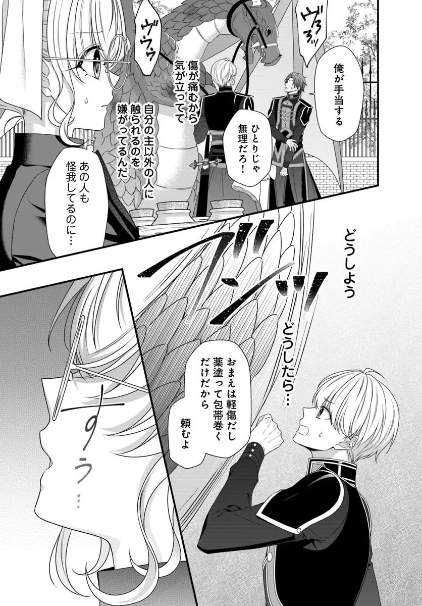 王女でしたがこっそり竜騎士団の専属薬師になりました! 第8話 - 5