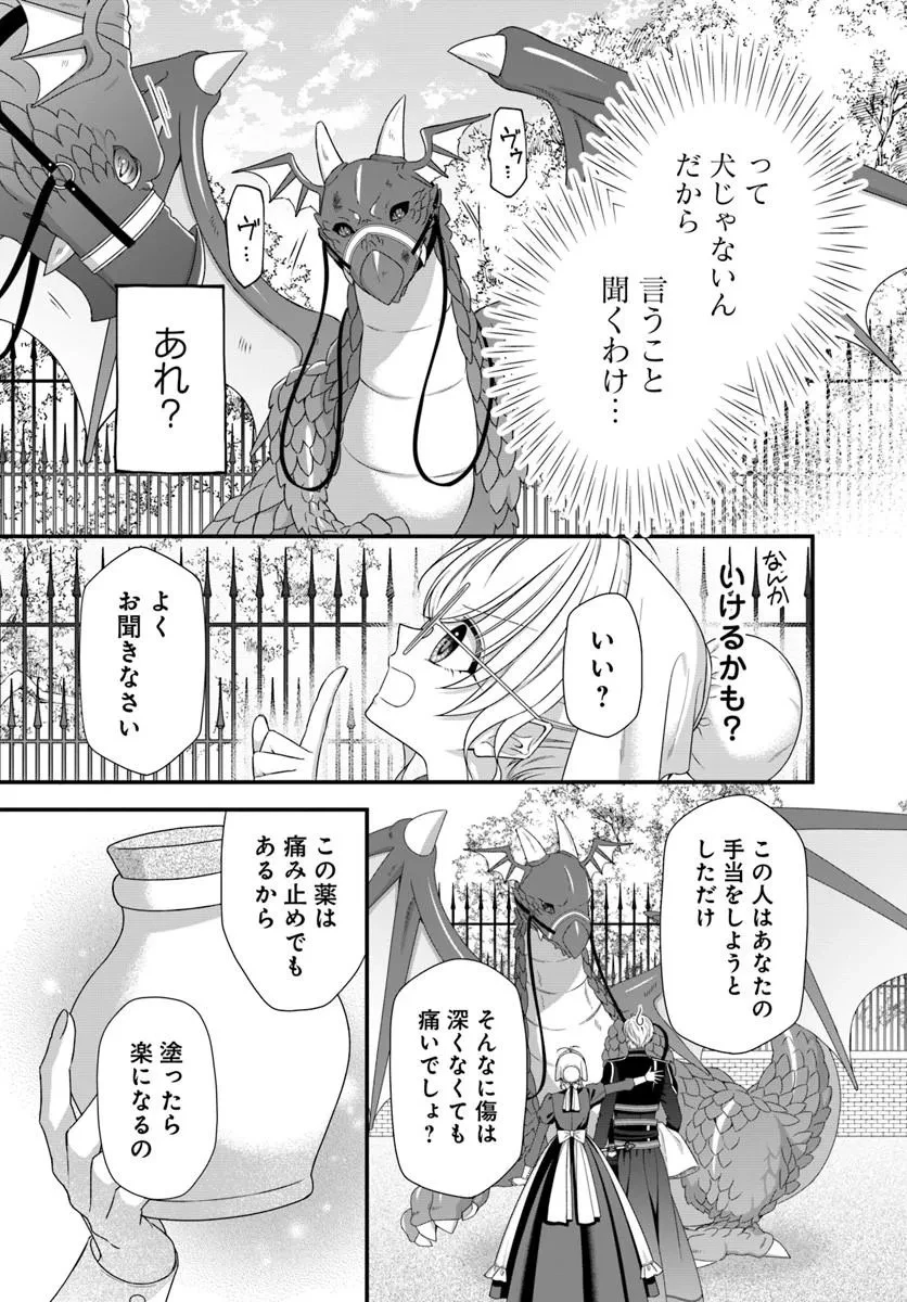 王女でしたがこっそり竜騎士団の専属薬師になりました! 第8話 - 7