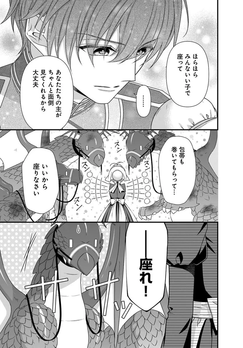 王女でしたがこっそり竜騎士団の専属薬師になりました! 第8話 - 11