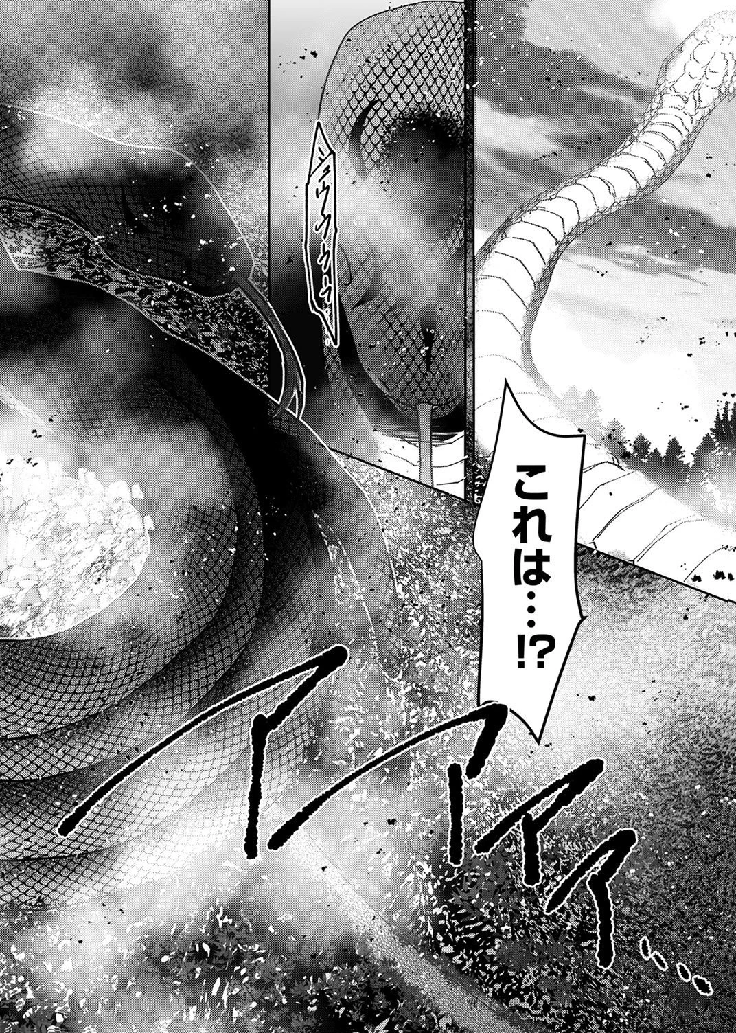 この世の果ての精霊殺し～パーティーを追放された冒険者、伝説の竜精と契約して最強に至る～ 第8話 - 20